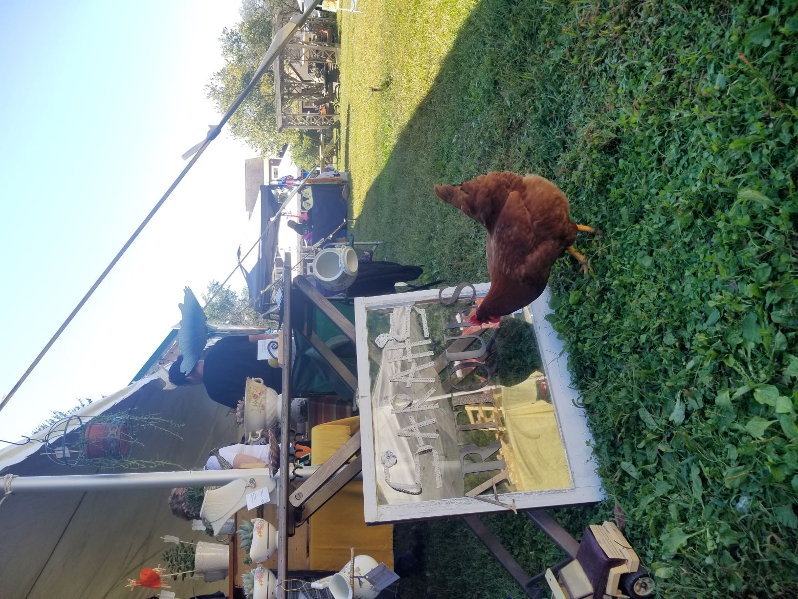 Sarahs Artiques booth with chicken